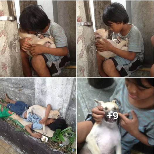 From Loneliness to Love: A Boy’s Journey with His Canine Companion